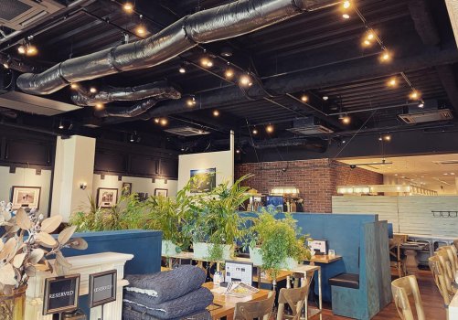 有觀葉植物的療癒空間