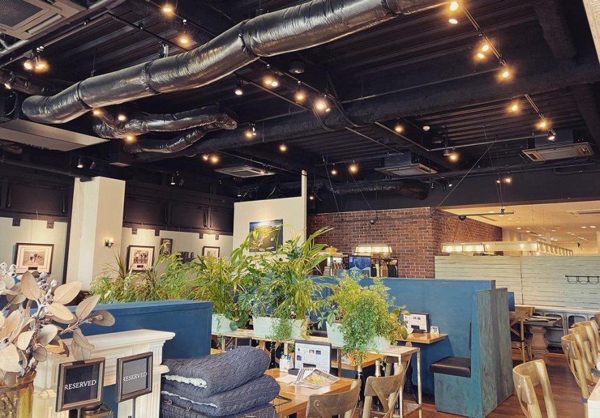 有觀葉植物的療癒空間