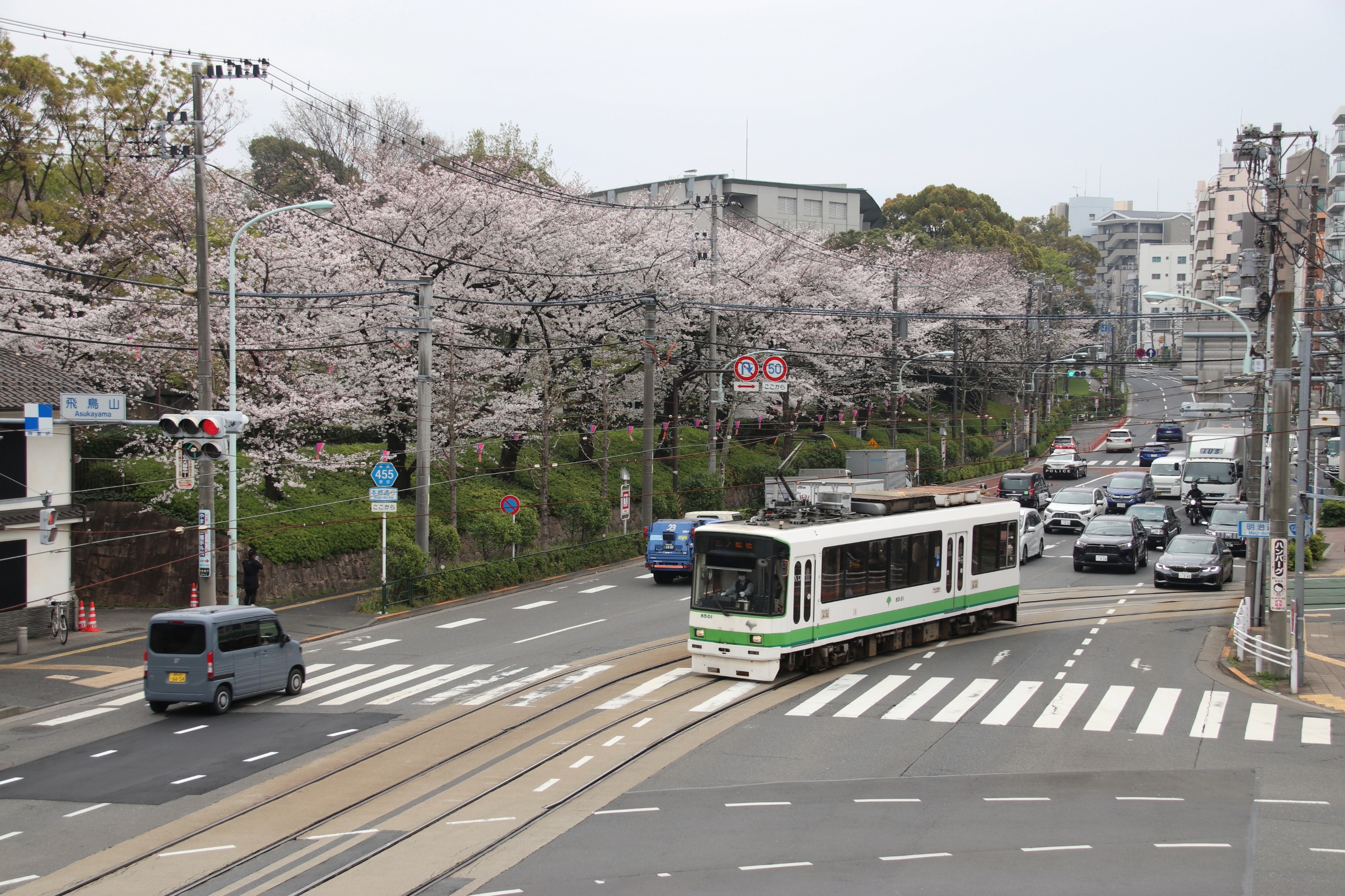 飛鳥山公園